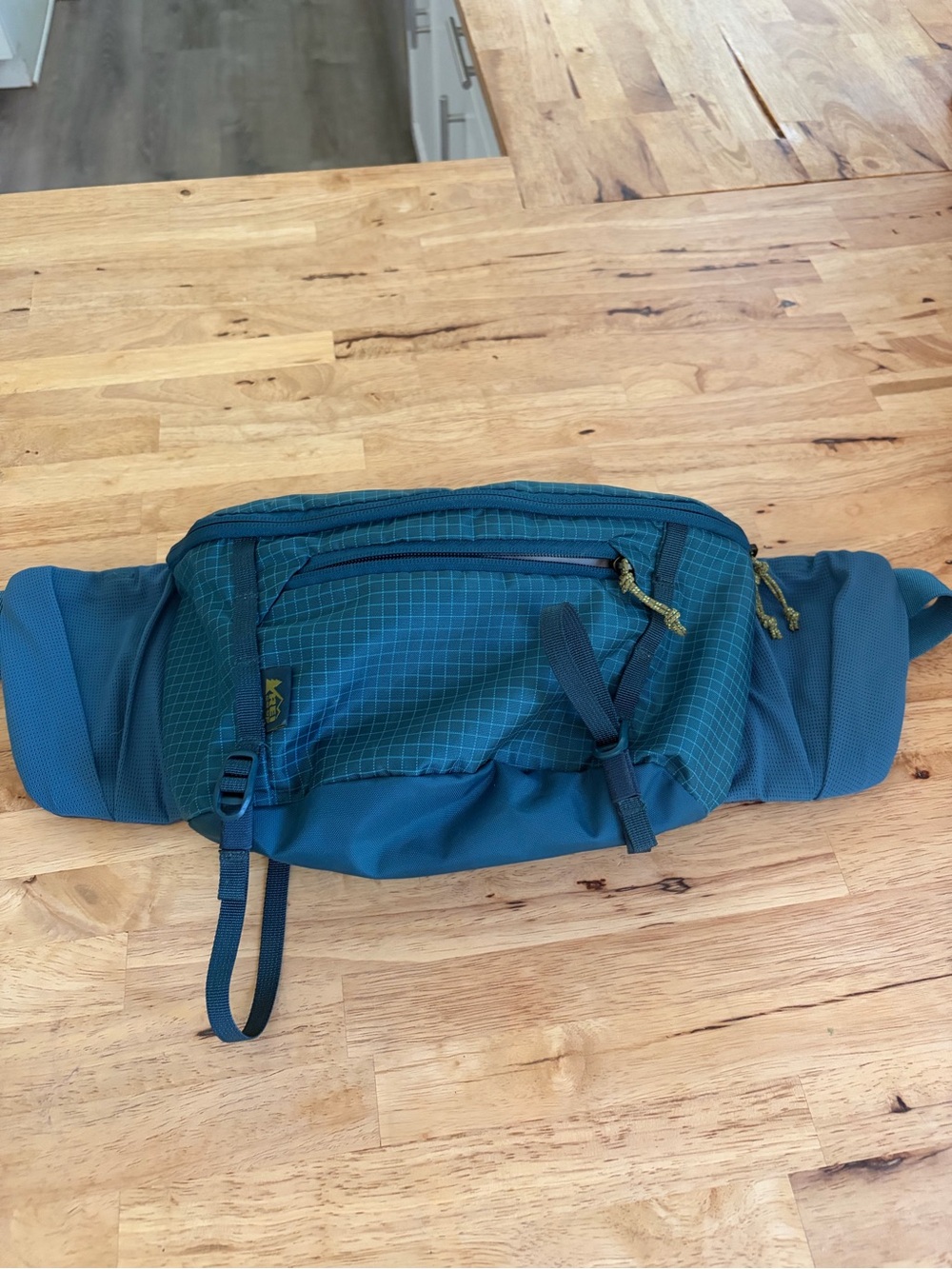 Teal Men's Waist Pack — REI Hiking Hip Bag